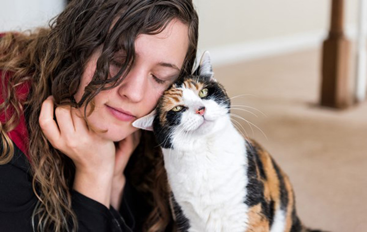 cat headbutt