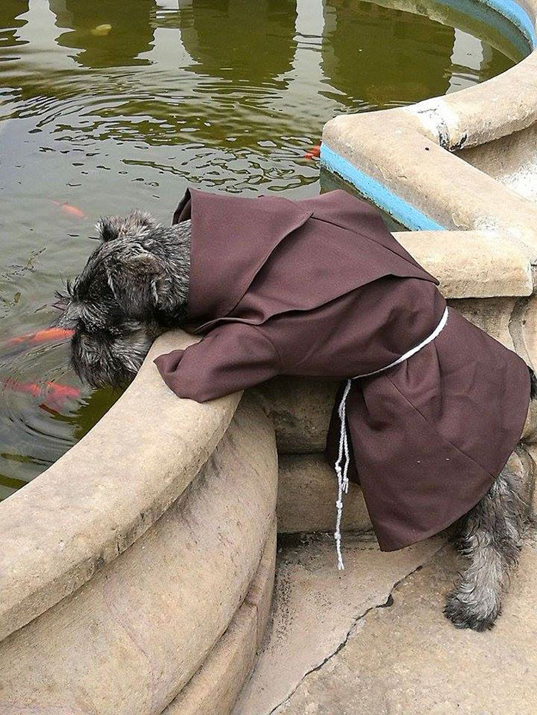 monastery adopts friar dog